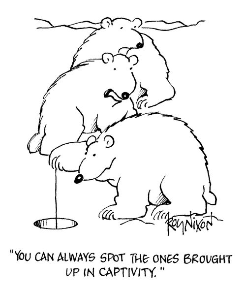 "You can always spot the ones brought up in captivity"
