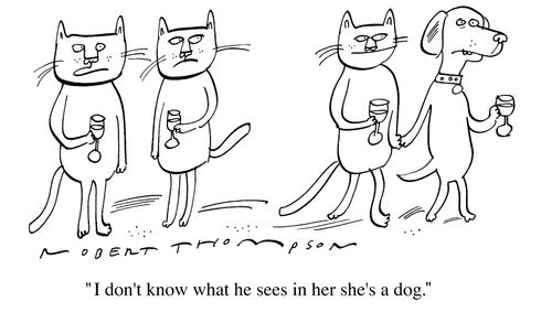 "I don't know what he see's in her, she's a dog"