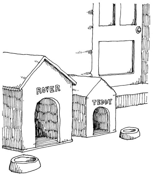 Dog and Teddy bear Kennels