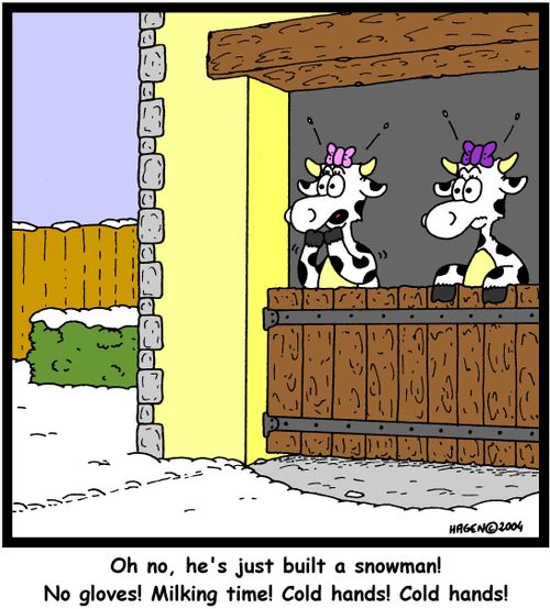 "Oh no, he's just built a snowman! No gloves! Milking time! Cold hands! Cold hands!"