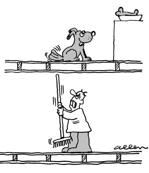 Dog thumping tail on floor, man below thumping ceiling with broom.