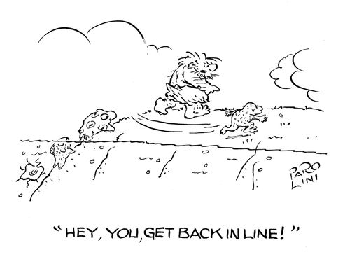The evolutionary queue - 'Hey, you, get back in line!' 