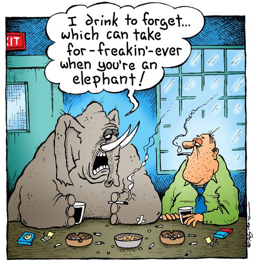 I drink to forget... which can take for-freakin'-ever when you're an elephant!'