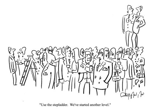 'Use the stepladder. We've started another level.'
