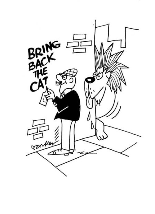 Bring back the cat.