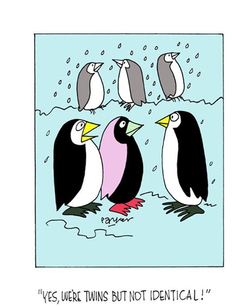 "Yes,we're twins-but not identical!"