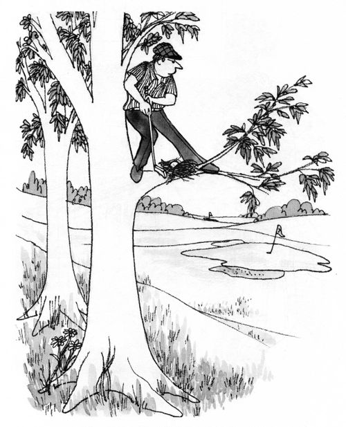 Golfer Taking a Shot from a Nest Up a Tree.