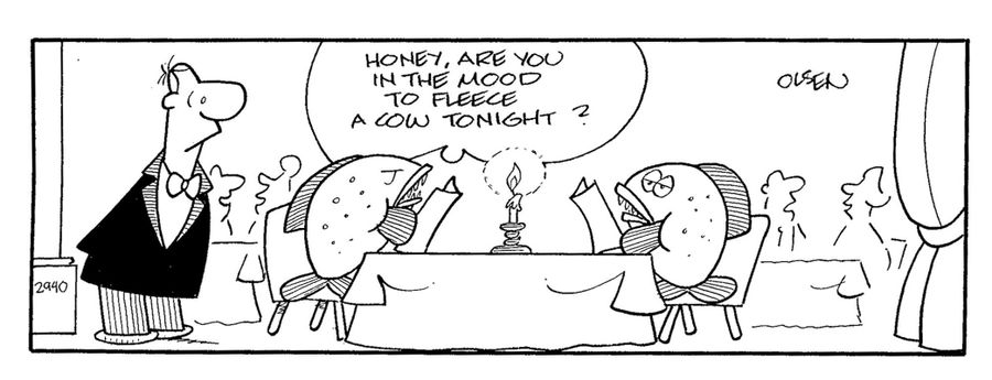 Honey are you in the mood to fleece a cow tonight