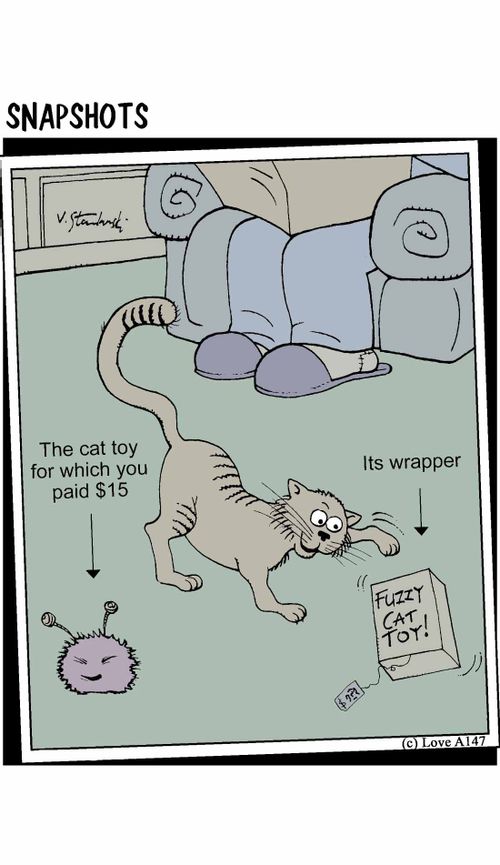 The cat toy for which you paid $15.