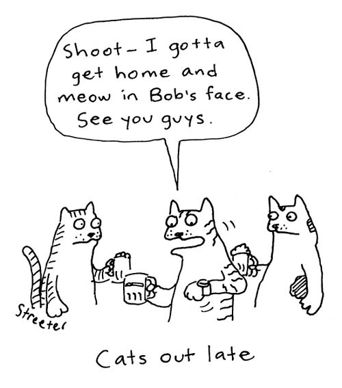 Cats out late.