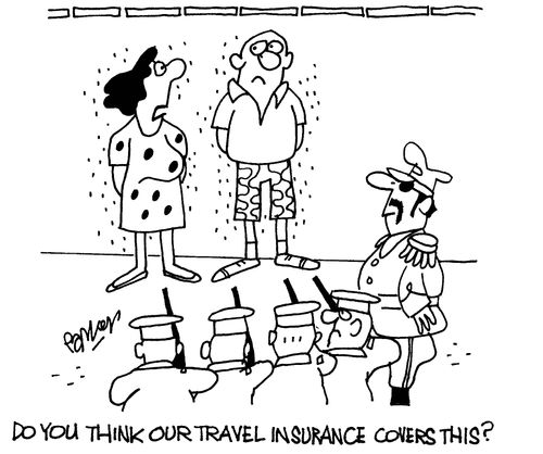 "Do you think our travel insurance covers this?"
