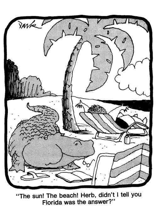 'The sun! The beach! Herb, didn't I tell you Florida was the answer?'