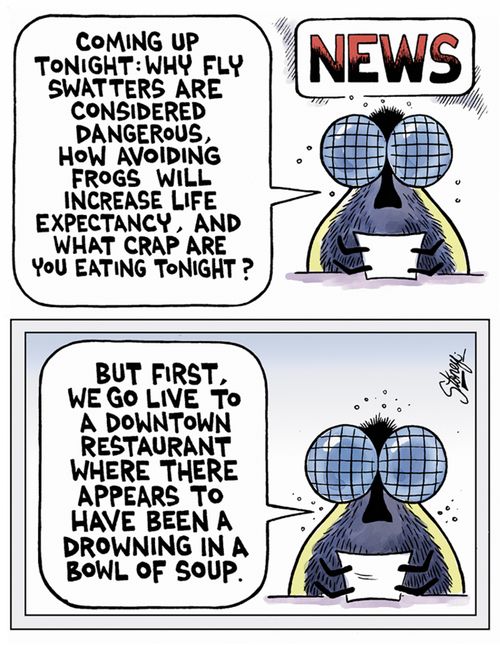 'Fly Nightly news'
