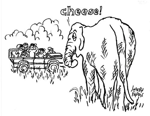 'Cheese!'