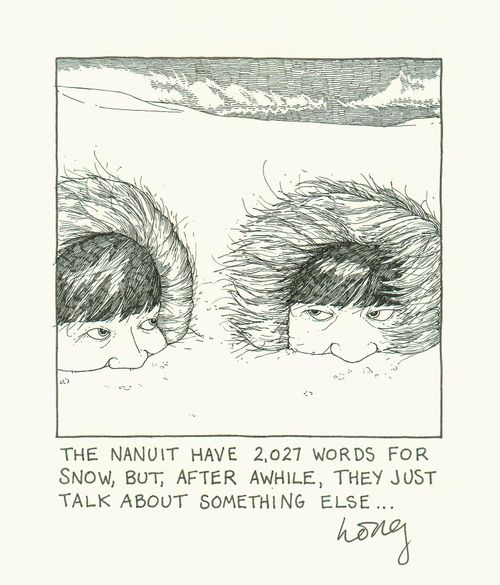 The Nanuit Have 2,027 Words For Snow, But, After Awhile, They Just Talk About Something Else...