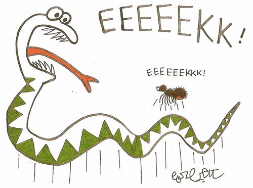 Snake / Spider Phobia!
