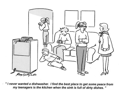 'I never wanted a dishwasher. I find the best place to get some peace from my teenagers is the kitchen when the sink is full of dirty dishes.'