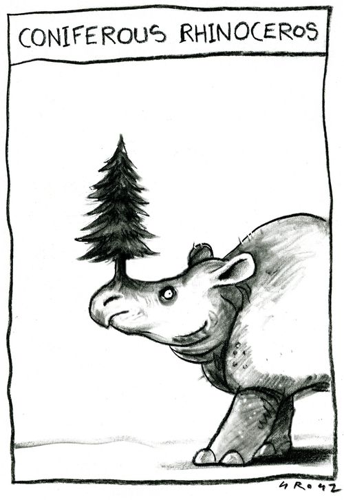 'Coniferous Rhinoceros.'