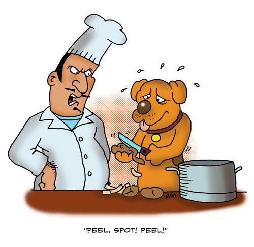 'Peel, Spot! Peel!'