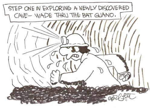 'Step one inexploring a newly discovered cave- wade thru the bat guano.'