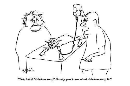 'Yes, I said 'chicken soup!' Surely you know what chicken soup is.'