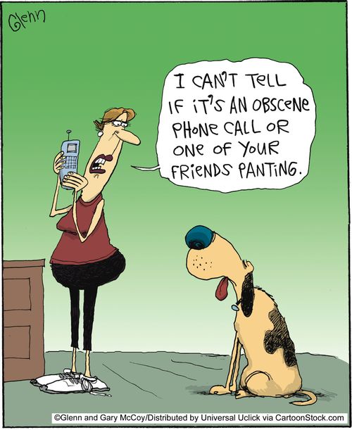 'I can't tell if it's an obscene phone call or one of your friends panting.'