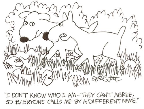 'I don't know who I am - they can't agree, so everyone calls me by a different name.'