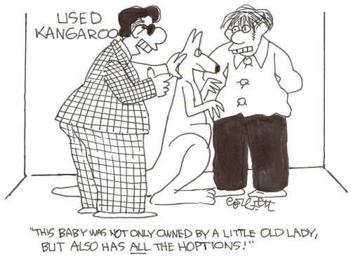 Used kangaroos: 'This baby was not only owned by a little old lady, but also has ALL the hoptions'