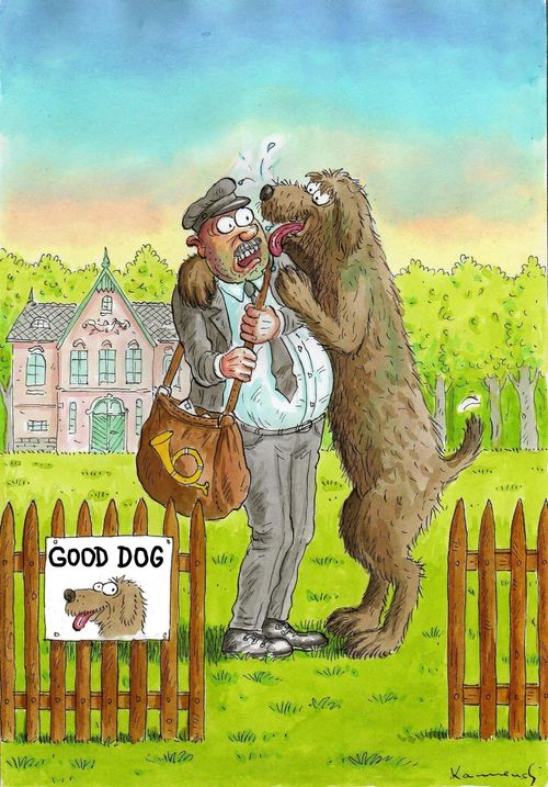 Good Dog.