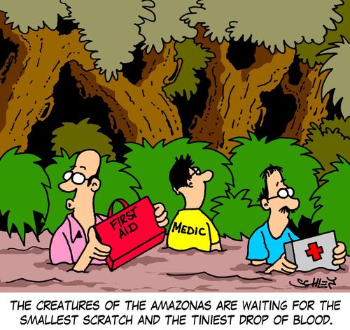 The creatures of the Amazonas are waiting for the smallest scartch and the tiniest drop of blood.