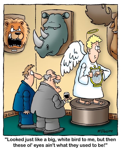 'Looked just like a big, white bird to me, but then these ol' eyes ain't what they used to be!'