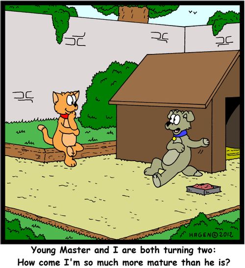 'Young Master and I are both turning two: How come I'm so much more mature than he is?'