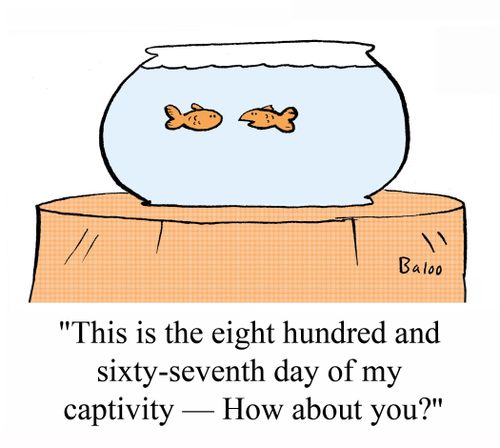 'This is the eight hundred and sixty-seventh day of my captivity - How about you?'