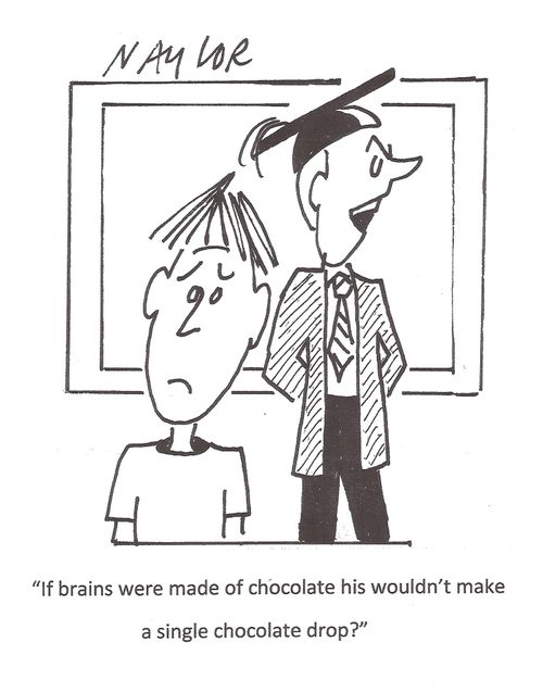 'If brains were made of chocolate his wouldn't make a single chocolate drop?'