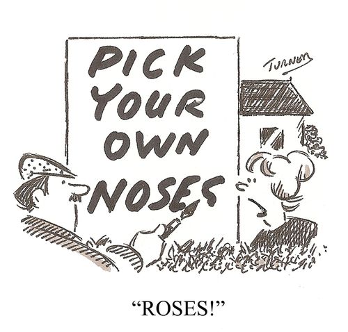 'ROSES!'
