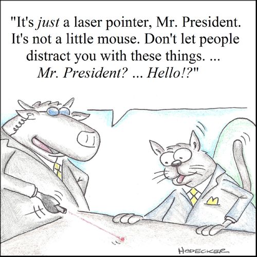 'It's just a laser pointer, Mr. President. It's not a little mouse. Don't let people distract you with these things...Mr. President?..Hello!?'