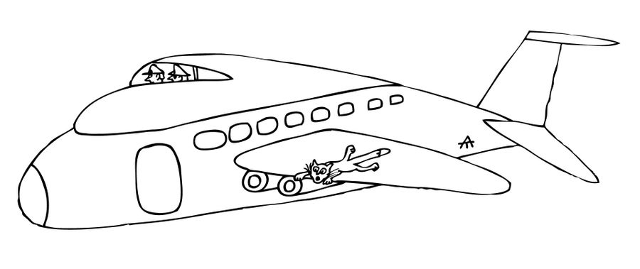 Cat wing walking.
