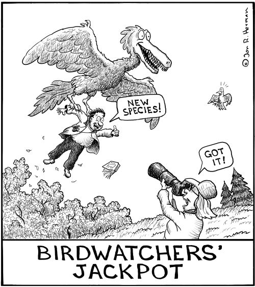Birdwatchers' Jackpot!