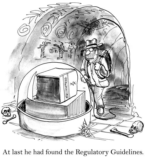 At last he had found the Regulatory Guidelines.
