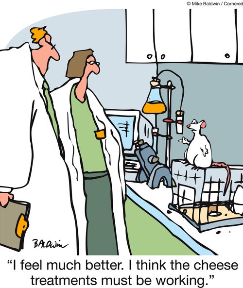 'I feel much better. I think the cheese treatments must be working.'