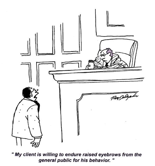 'My client is willing to endure raised eyebrows from the general public for his behaviour.'