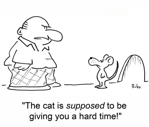 'The cat is SUPPOSED to be giving you a hard time!'