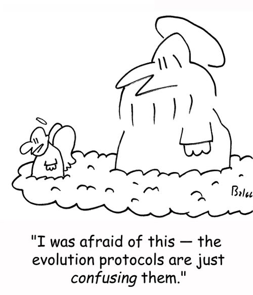 'I was afraid of this -- the evolution protocols are just confusing them.'