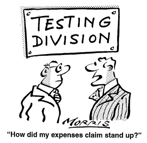 Testing Division - How did my expenses claim stand up?