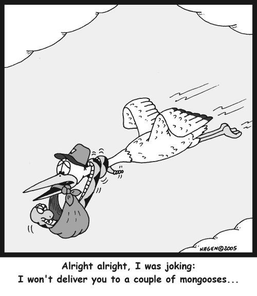 'Alright alright, I was joking: I won't deliver you to a couple of mongooses...'