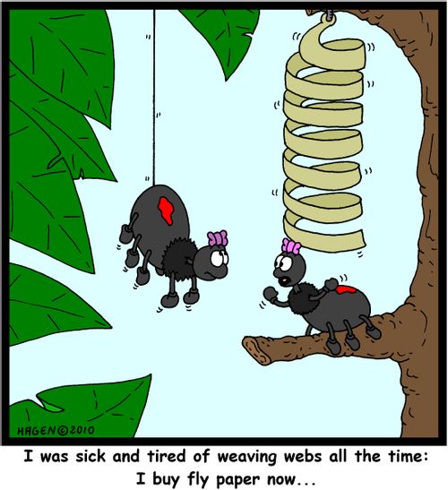 'I was sick and tired of weaving webs all the time: I buy fly paper now...'