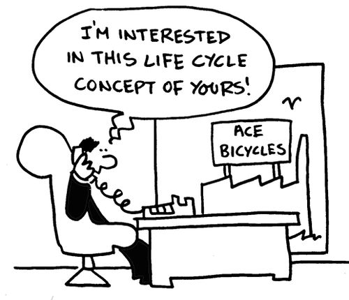 'I'm interested in this life cycle concept of yours!'