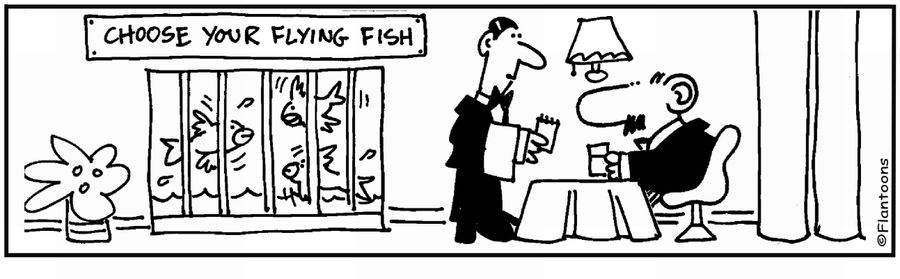 'Choose your flying fish.' 