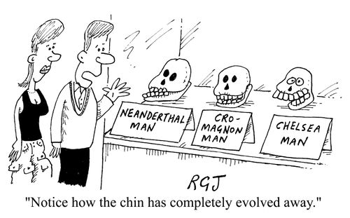 Notice how the chin has completely evolved away.