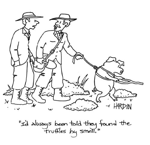 'I'd always been told they found the truffles by smell.'